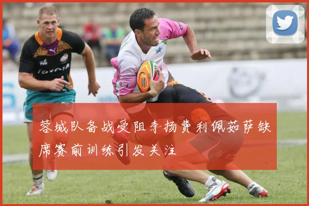 蓉城队备战受阻李扬费利佩茹萨缺席赛前训练引发关注