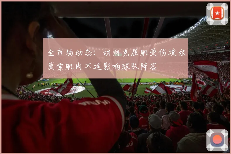 全市场动态：切利克屈肌受伤埃尔莫索肌肉不适影响球队阵容